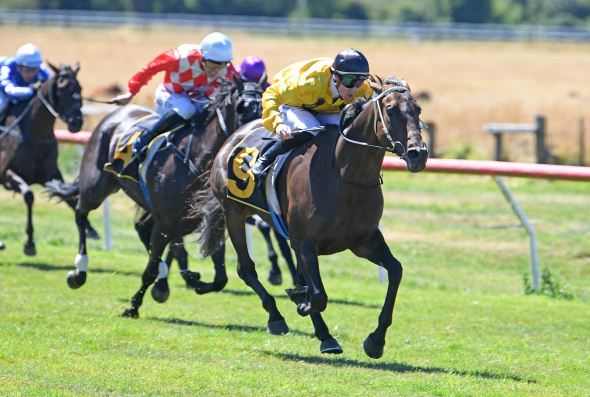 Ruby Rocks claims Wairarapa Cup