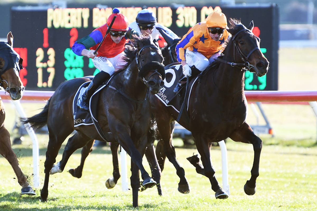 Possible Derby tilt for Solidify