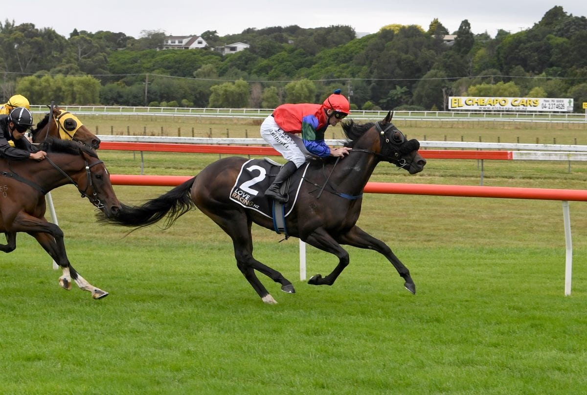 Solidify win puts him in Derby contention