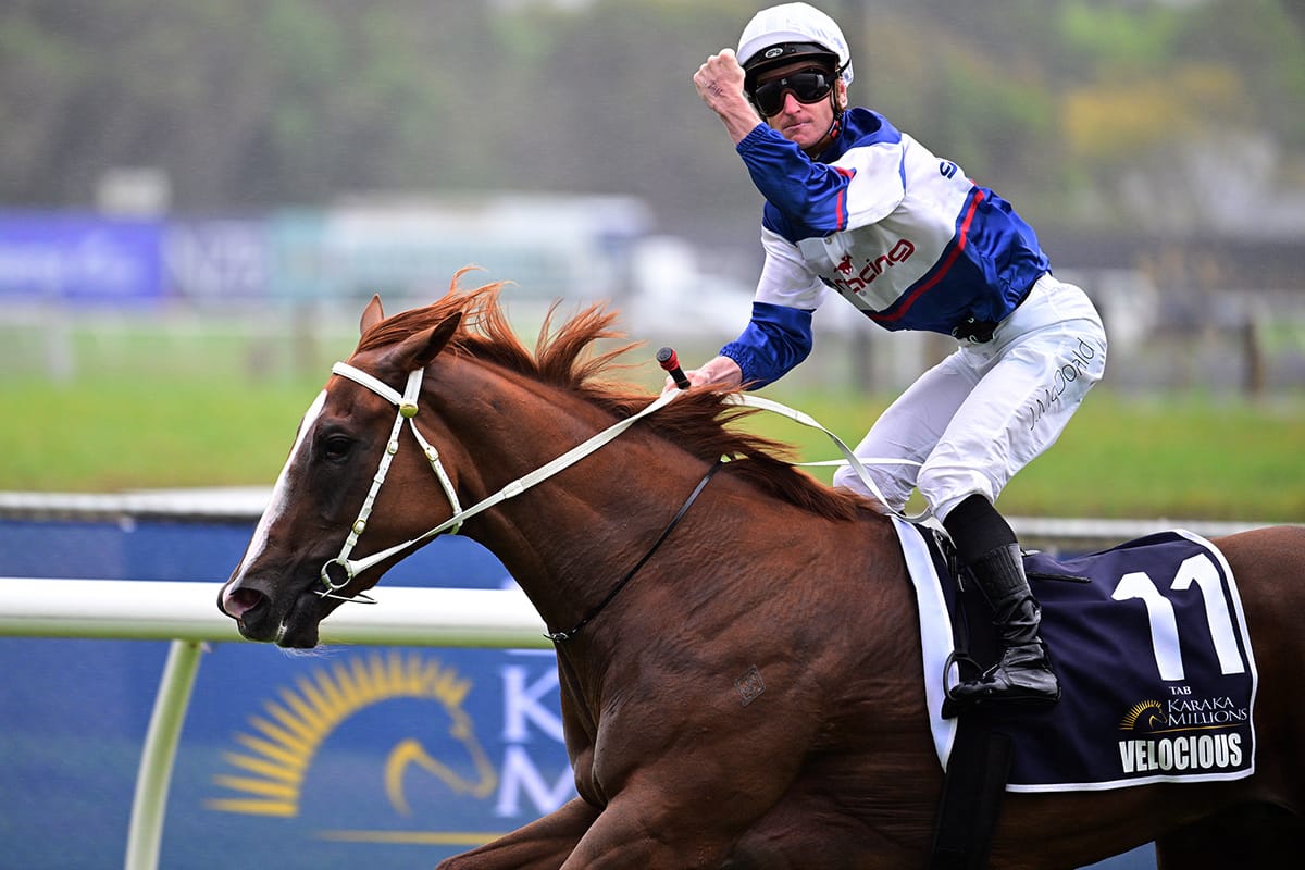 Velocious to chase NZB Kiwi bonus
