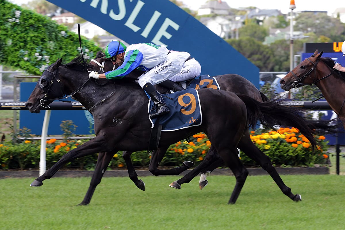Certainly maintains Te Akau’s Mufhasa Stakes dominance