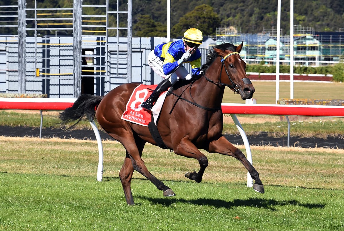 Major prize for Grail Seeker at Trentham