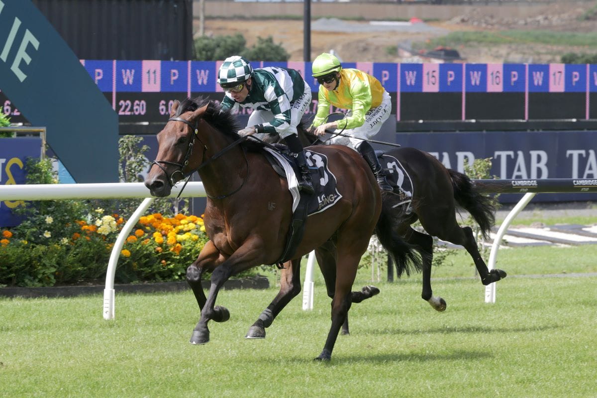 Talented Hat Trick delivers at Ellerslie