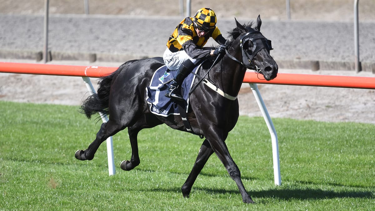 Group One challenge awaits Red Sea