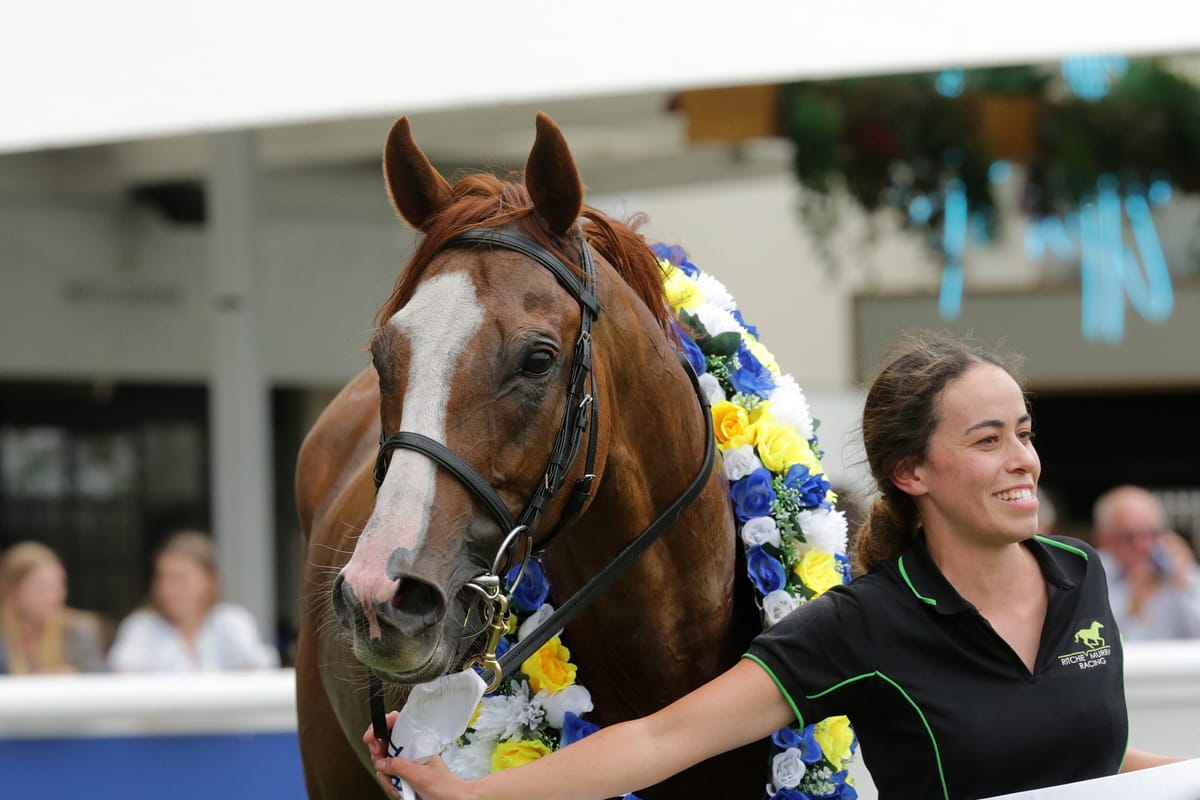 Mahrajaan up for Group One challenge