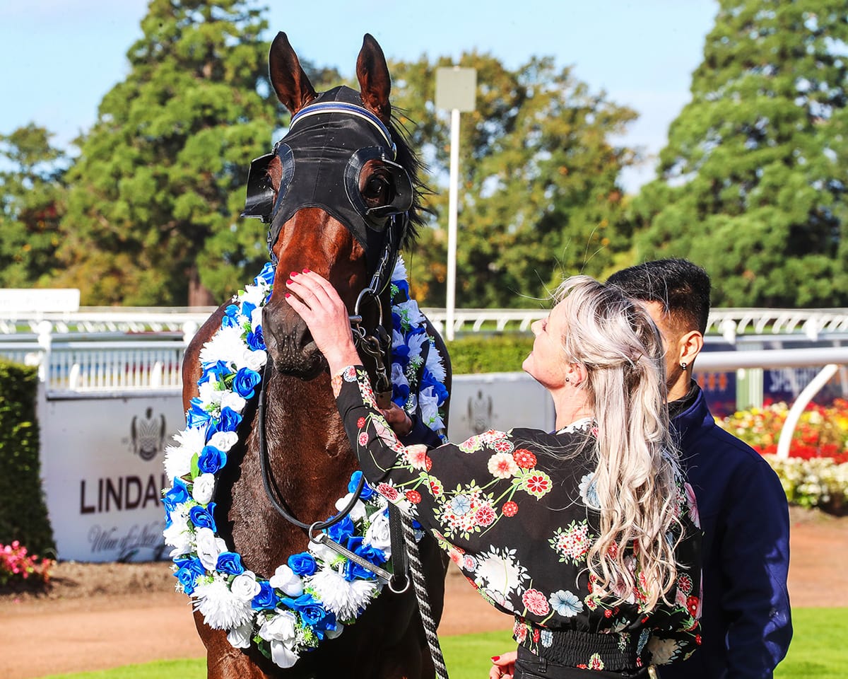 Miss Layla to target another feature mile at Riccarton