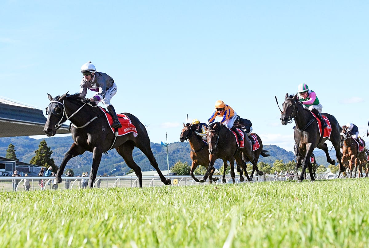 Oaks heroine gives Ormsby a different kind of Group One