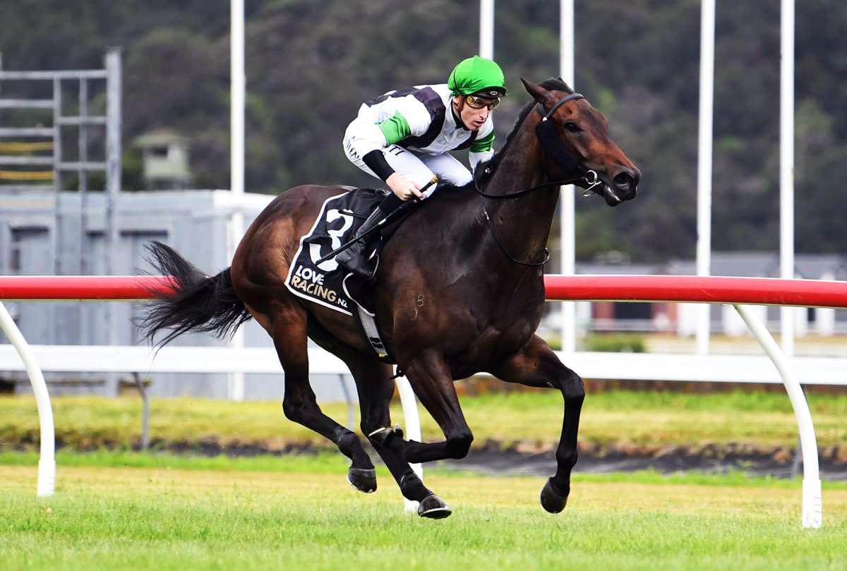 Wellington to suit Witz End