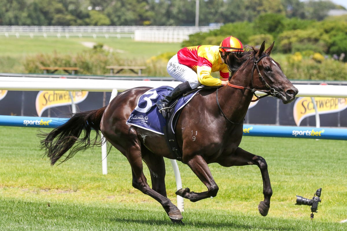 Eternal Flame strikes hot Group One field