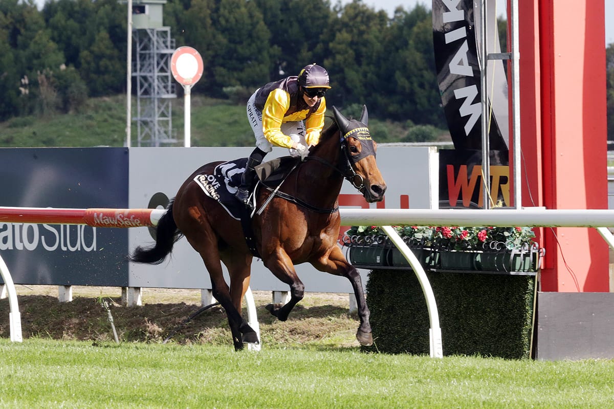 I’munstoppable lives up to name in Breeders’ Stakes