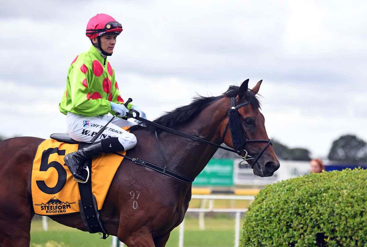 Investigate a genuine Championship contender