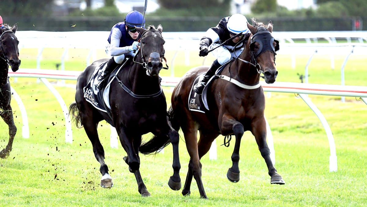 Opie cooks up century of wins