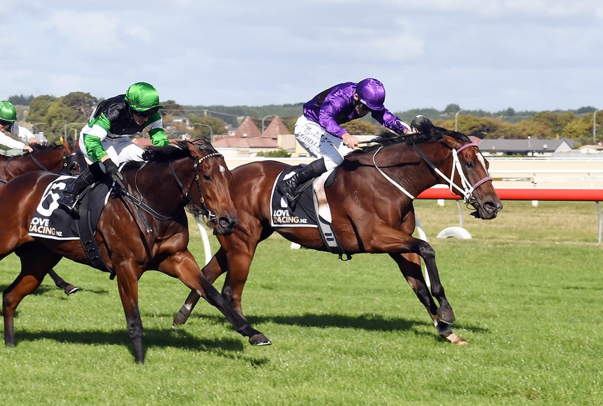Lantern Way lands Wanganui win