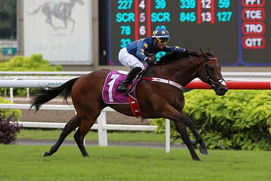 Lim's Kosciuszko Prevails in EW Barker Thriller