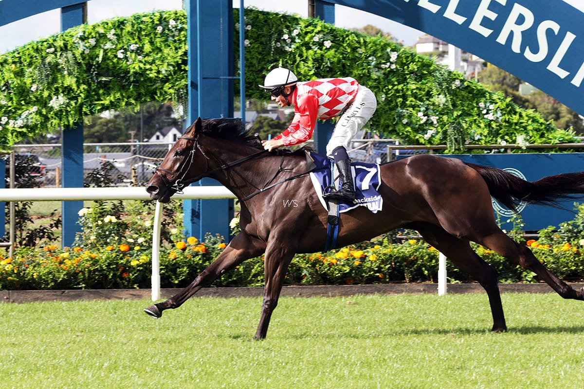 Kingsclere looking at long term options for Orchestral