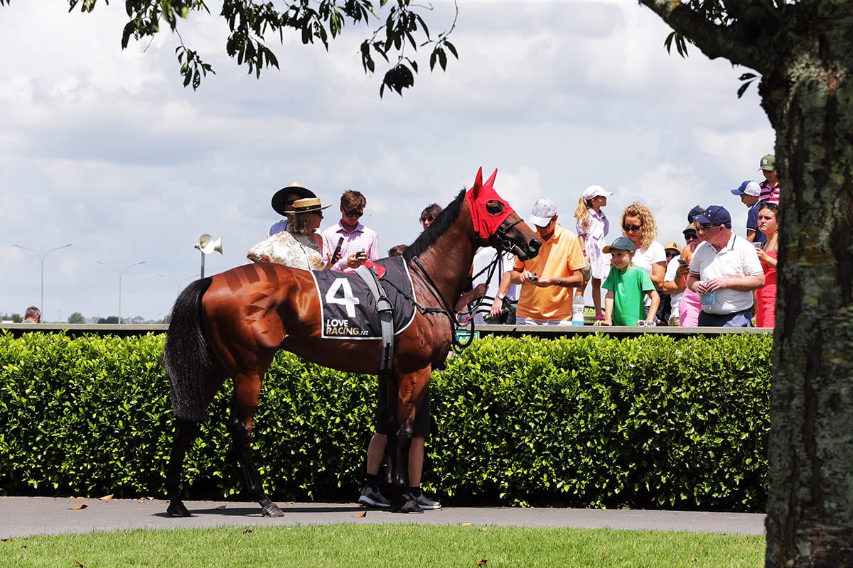 2024/25 racing calendar released 