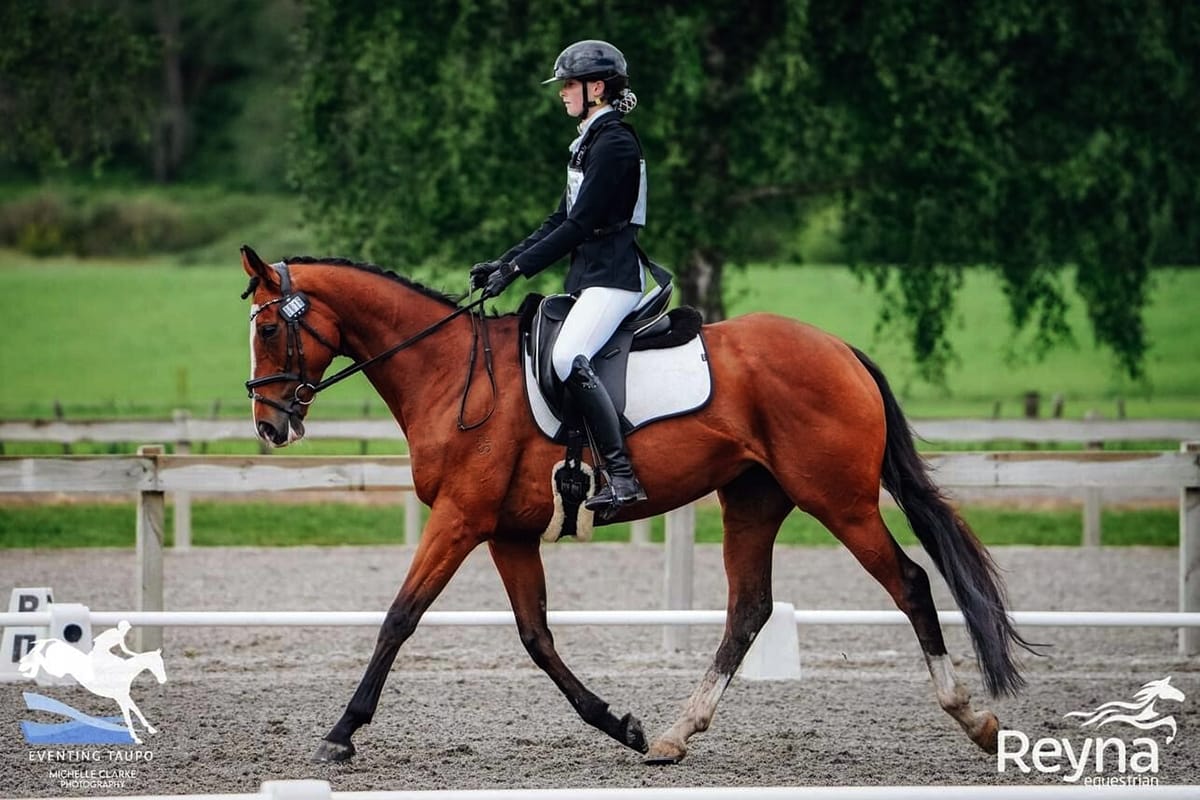 NZB Newcomer Winners Announced for TiES Series 