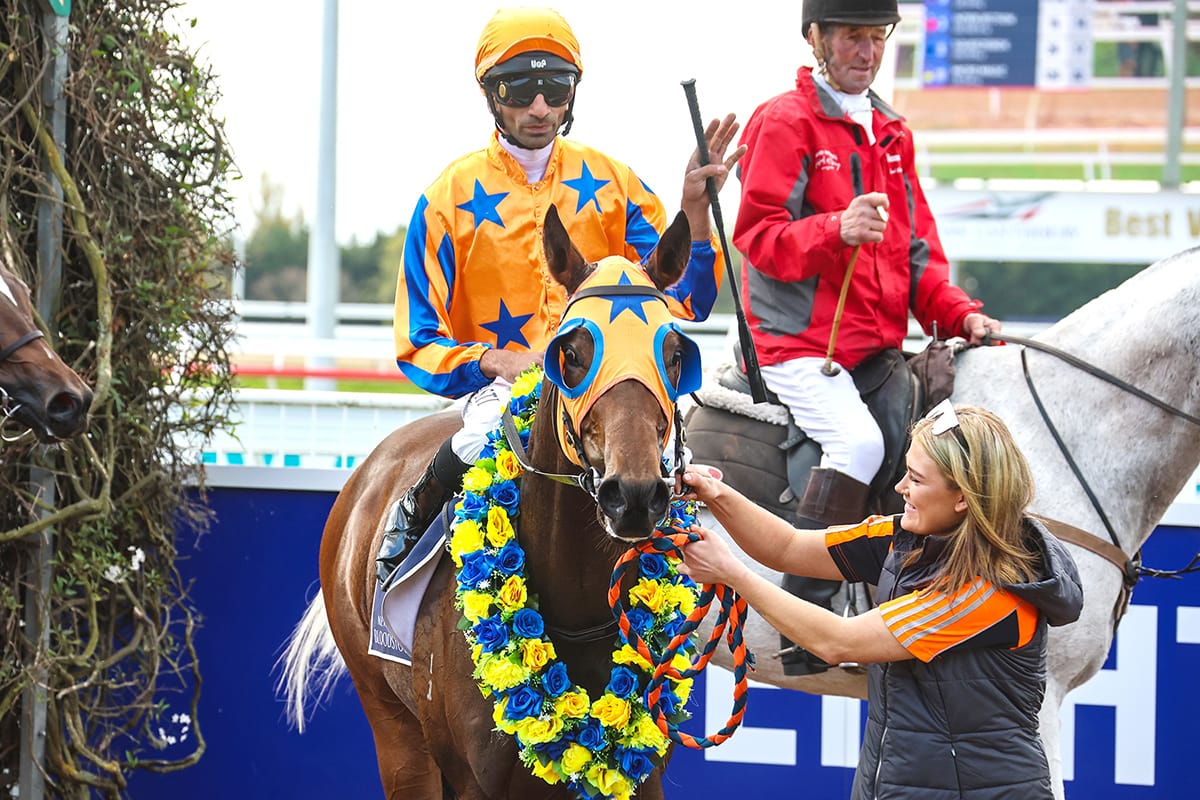 Deserved stakes reward for Discretion Rules at Riccarton