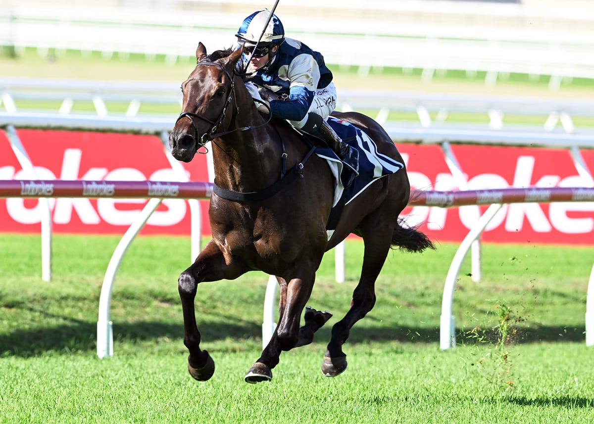 Gringotts secures first stakes success