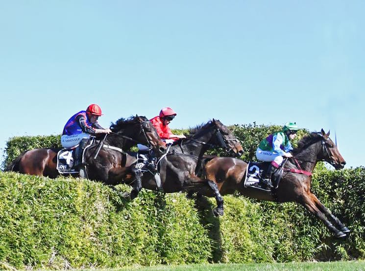 Hey Happy bolts in at Te Rapa