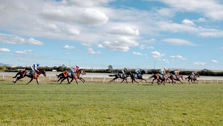 Racing a significant contributor to NZ economy
