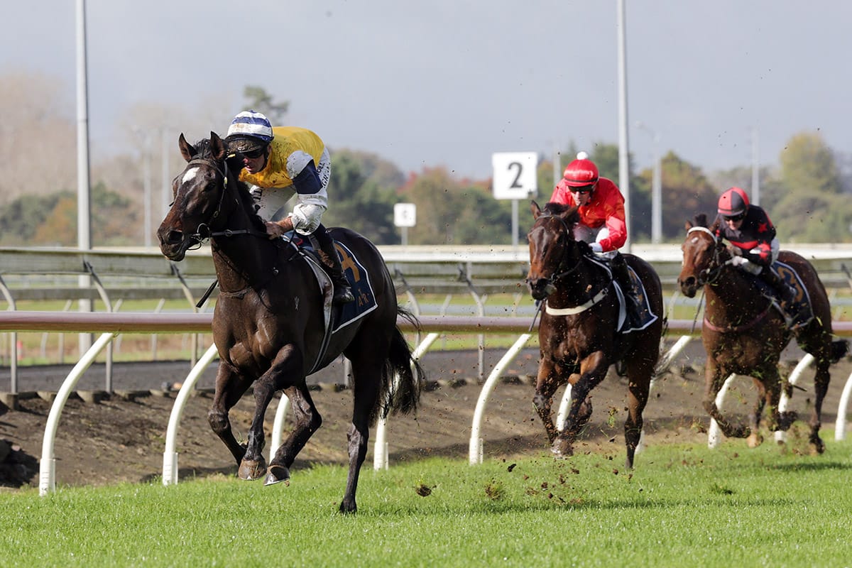 Mary Shan strikes at Pukekohe