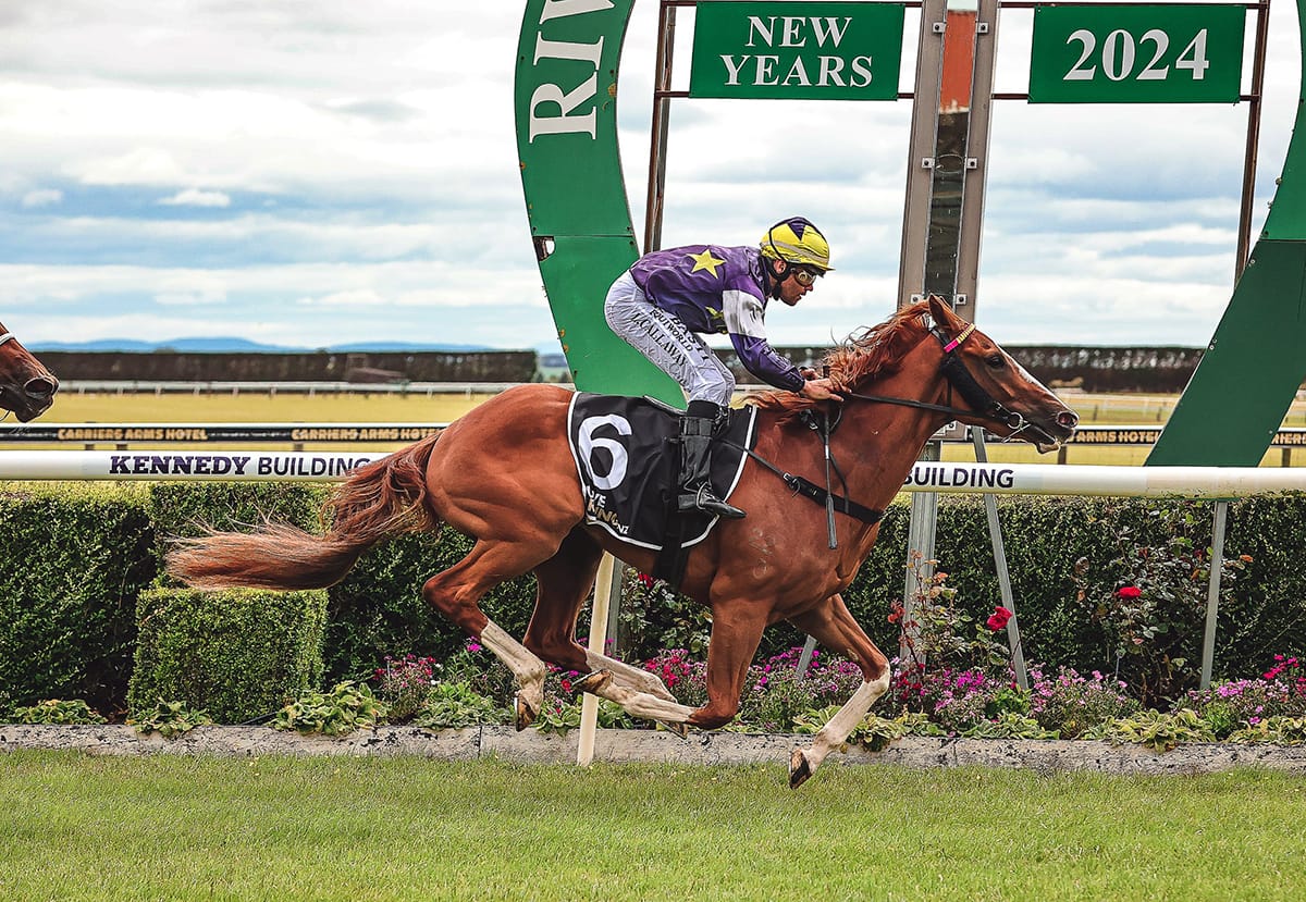Riviera Rebel to target Winter Cup