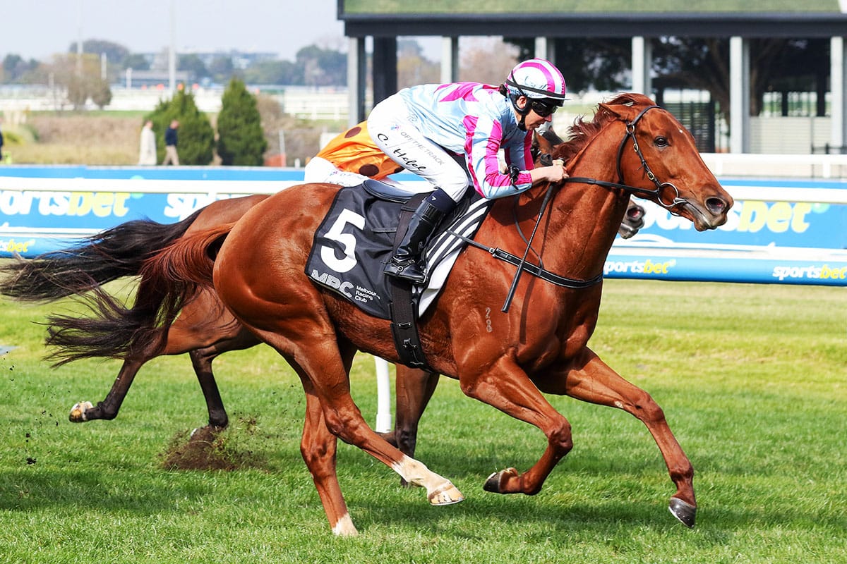 Chrissie likely to sit out Standish