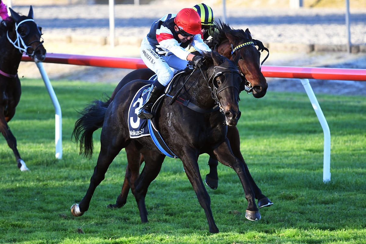 Ballymore double up at Matamata
