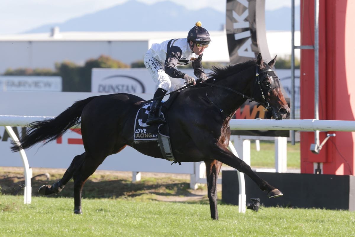 Turn The Ace resumes with dominant win