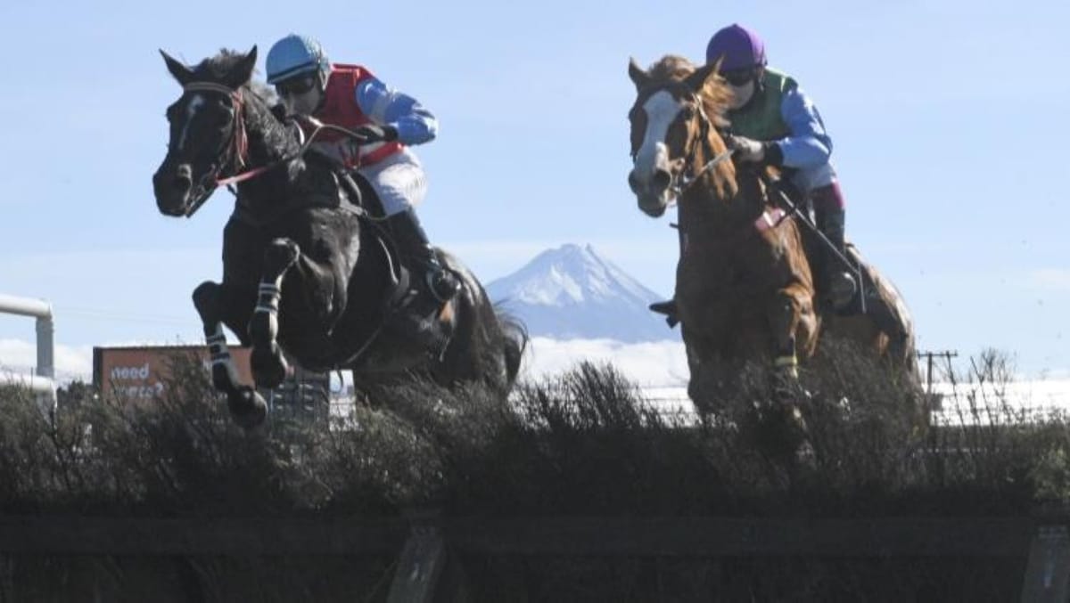Brosnan team look towards Te Aroha test