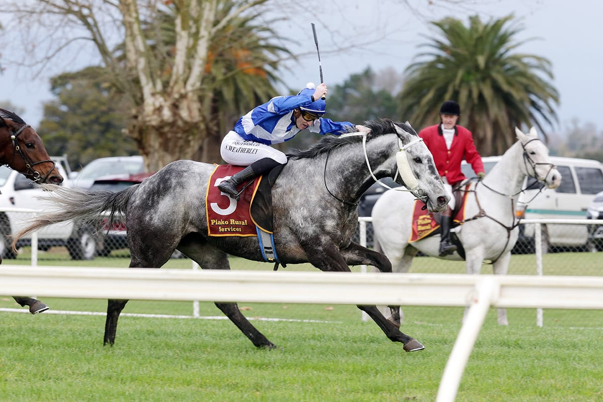 Hula Beat takes out Te Aroha Cup