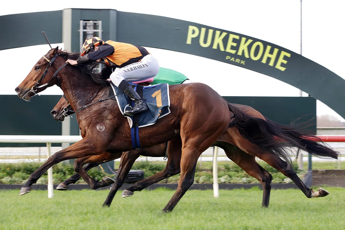Little Bit of Love caps successful day for Wexford Stables