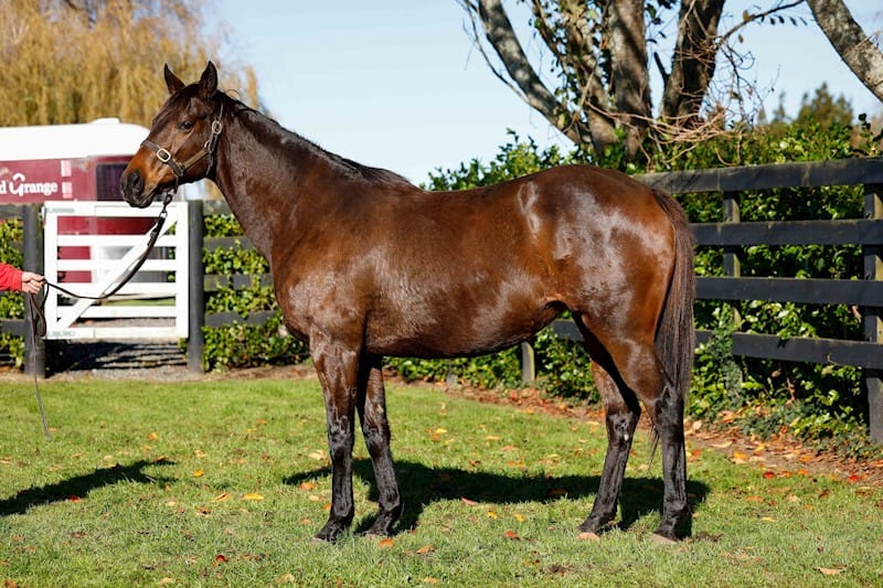 National Online Breeding Stock Sale