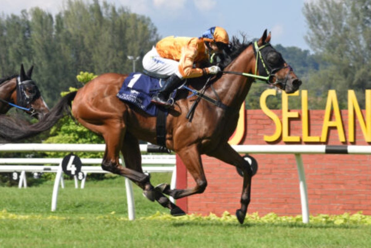 Unbeaten Antipodean wins New Zealand Bloodstock Trophy