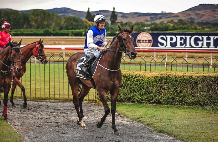 Stakes winner looking to collect Australian prizes