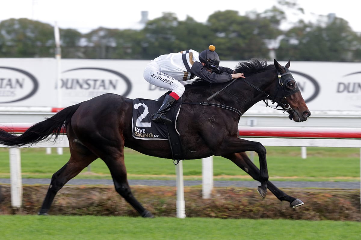Forsman team not short of winter performers