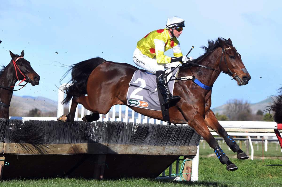 Pakuranga trip a key for Country Bumpkin