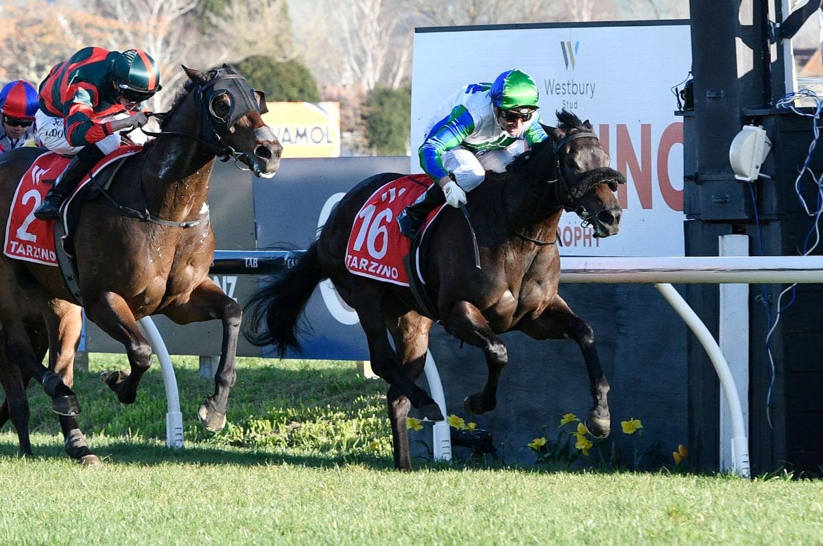 Skew Wiff on target for Tarzino Trophy defence