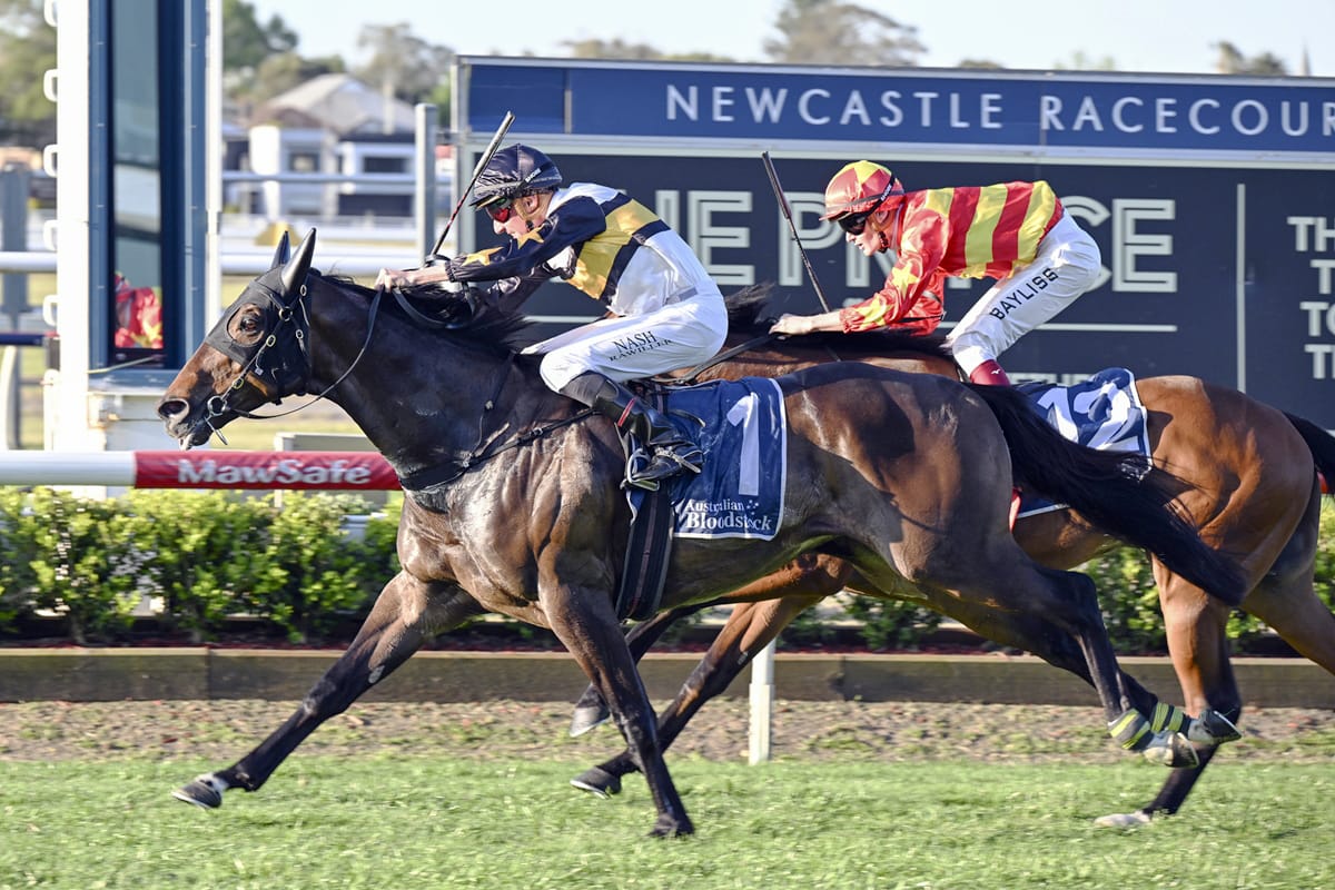 Shock returns to Victorian racing