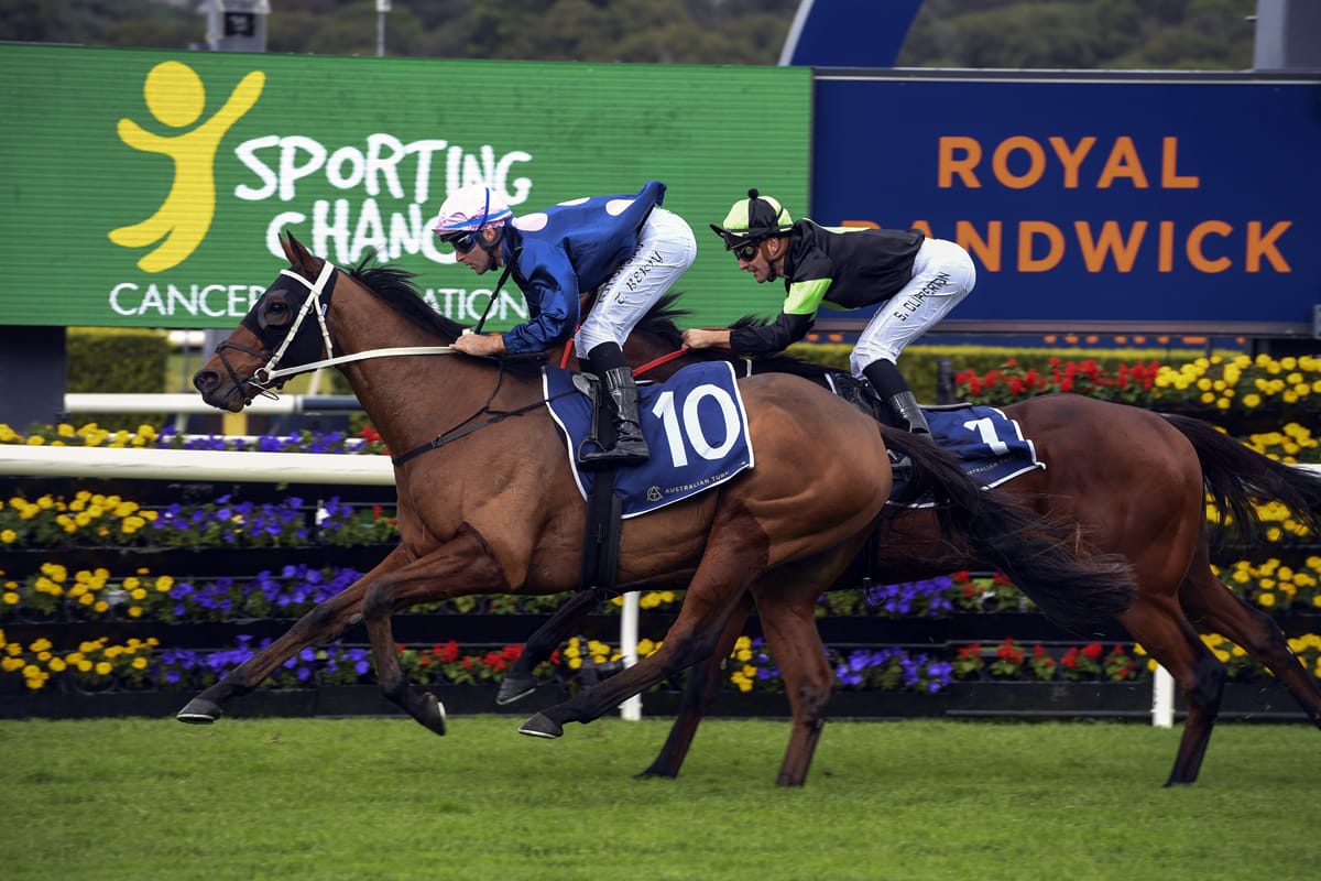 Exciting spring is instore for Thurlow