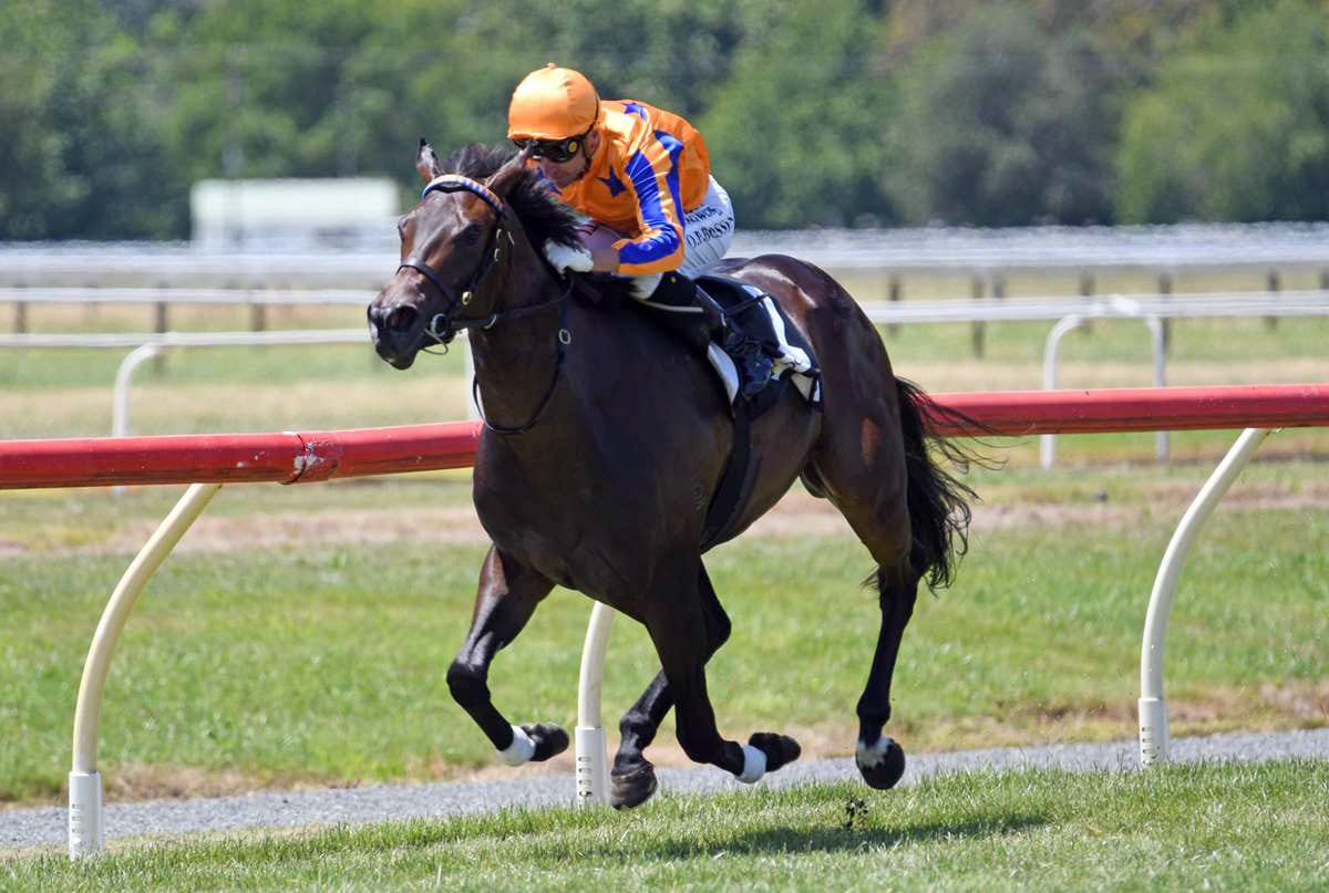 The Victress gets a short-term stakes nod