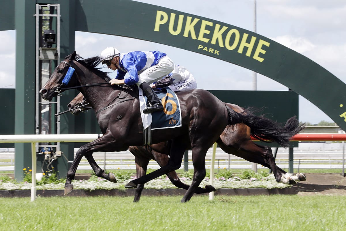 Trust In You readies for his Australian debut