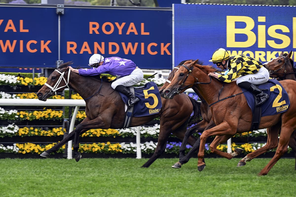 Last bid reaping major breeding rewards