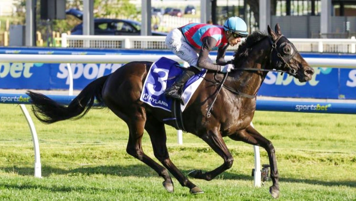 Antino ready for Hollindale test