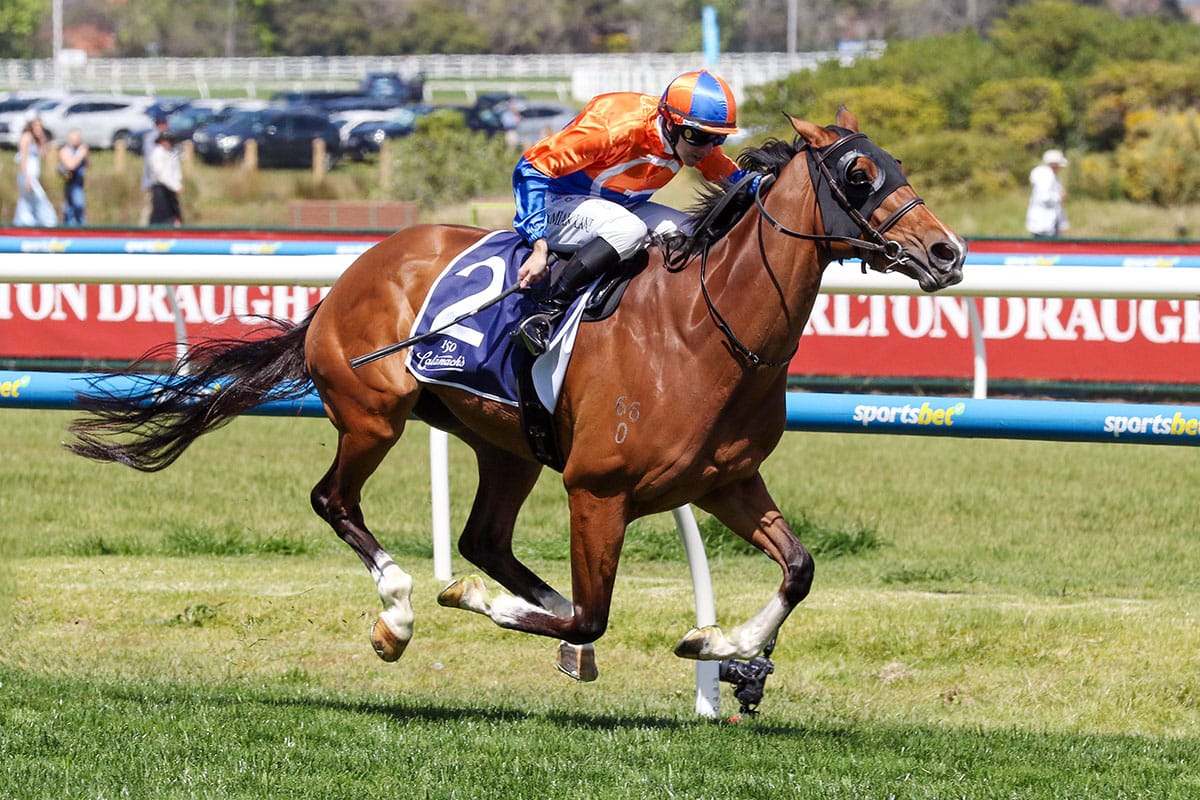 Mile proves no issue for quality mare Grinzinger Belle