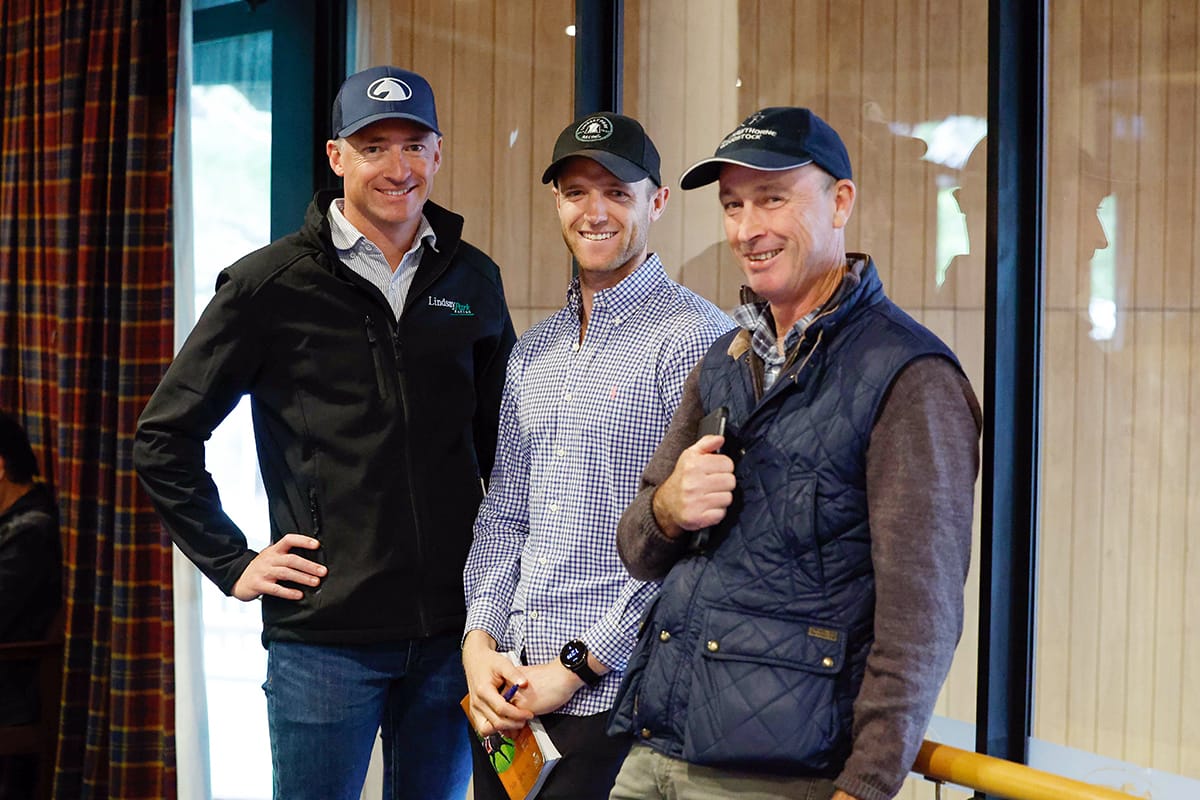 Ka Ying Rising connection draws Hayes team to Shamexpress at Karaka