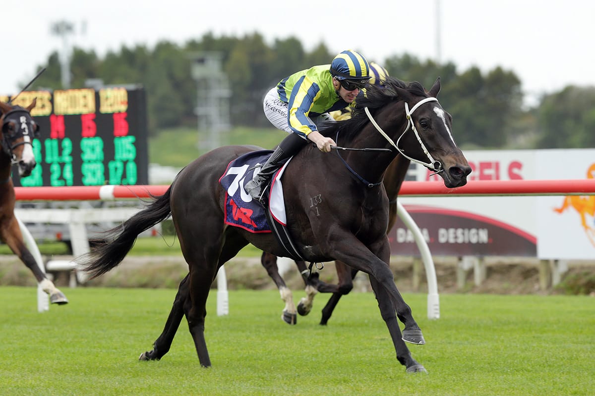 Love Poem Targets Second Group One Opportunity