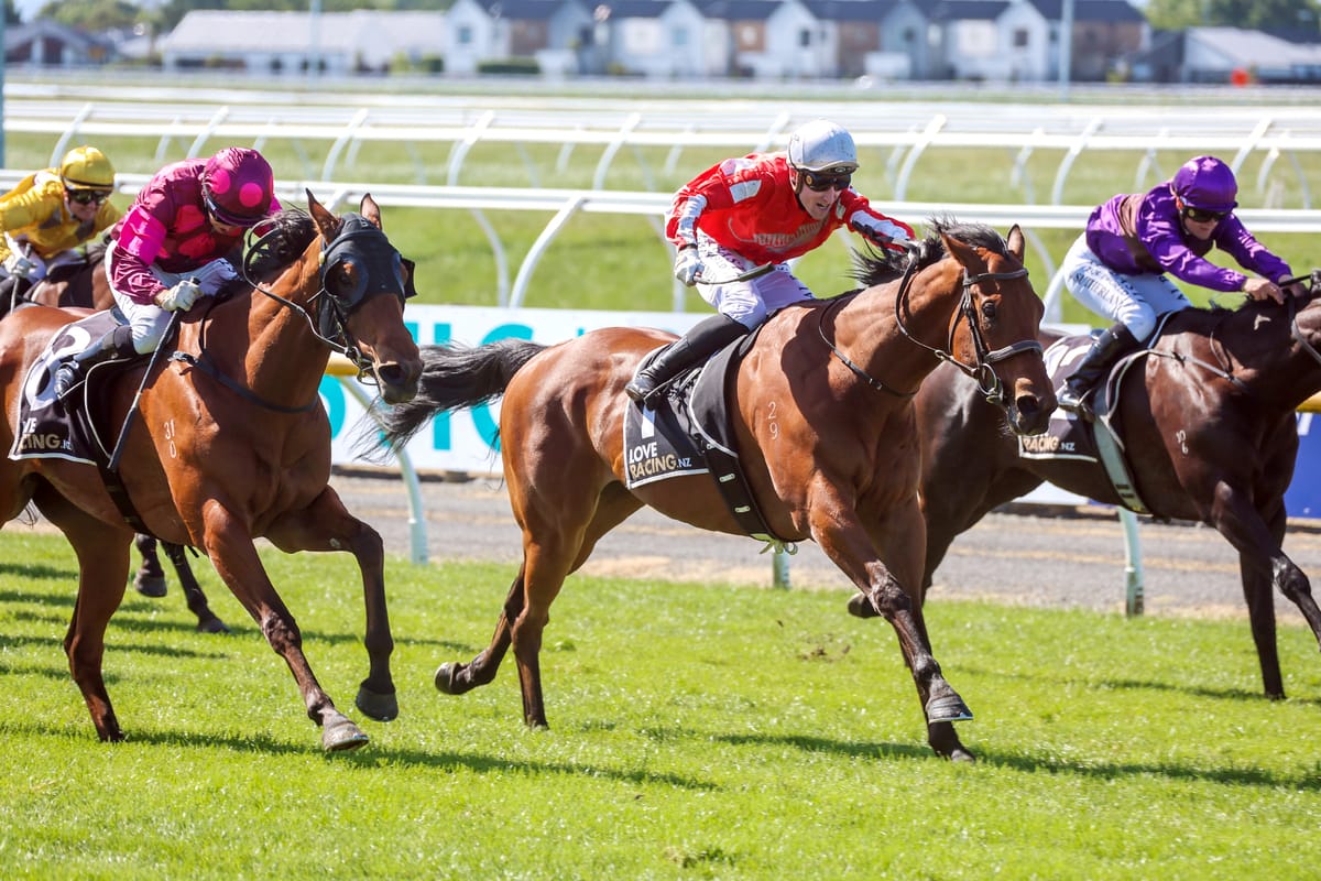 Mystic Park all class and courage in Stewards’ Stakes