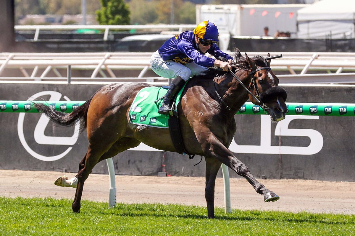 Opening Address makes Cup Day statement